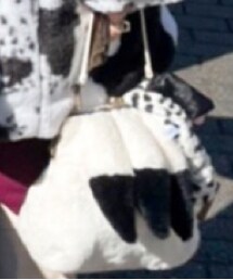 Disney store | ハンドバッグ