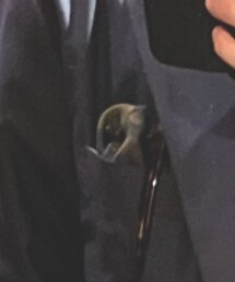 Fratelli Luigi | ポケットチーフ