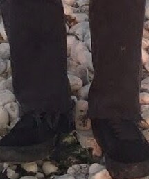 VANS | スニーカー