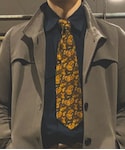 TRUSSARDI(トラサルディ)の「フォーマルスーツ/小物(ネクタイ)」