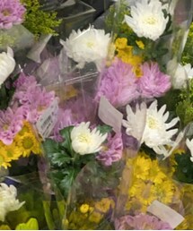 その他セレクト | その他
