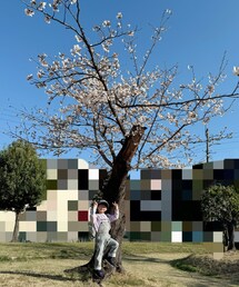 桜とボク🌸 | ラッピングキット