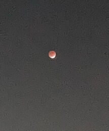 昨日の皆既月食🌒 | 👧🏻👦🏻と鑑賞😎神秘的でパワーもらえた💪✨(その他)