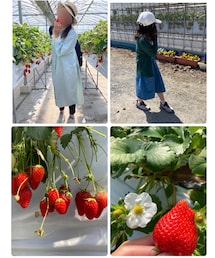 👩‍🦰と👧🏻と🍓 | その他