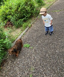 ワンワン🐕に遭遇😊 | その他