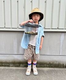 ダンゴムシ探し🔎 | 今ダンゴムシ飼ってます!6匹いるけど隠れて全員は姿見せてくれず😆(その他)