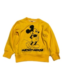 Disney | あったかウラぽか 110cm お友達からのお下がり💝(スウェット)