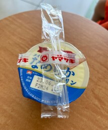 うさこのスウィーツ同盟会🍮 | 私のおやつ🍮𓌈﻿ 固いのも好きだけどなめらかも好き😋(その他)