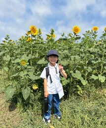 🌻とボク👦🏻 | ひまわりってすっごく背が高い😲 大人も壇上に登って上から🌻を撮影してた📸(その他)
