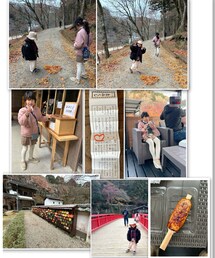 紅葉🍁 | 落ち葉🍂で♡かわいかった🧡おみくじは吉💡大吉の次だからまずまず🙆‍♀️ 五平餅美味しかった😋✨️(その他)