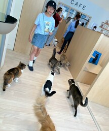 猫たくさん🐈‍⬛🐈⸒⸒⸒⸒ | エサくれると思って集合😆(その他)