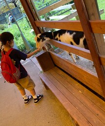 ビビりな👧🏻も餌やりできるように✨ | その他