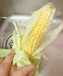 トウモロコシ🌽 | ラッピングキット