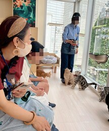 母はリメイク🐱T | ちゃんまつさんHedgehogのリメイク🐱🐯Tとキャップ🧢(ラッピングキット)