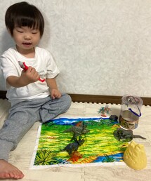 🦖達で遊ぶ👦🏻 | じぃじ👴に買ってもらったディノコレクションとアニア🦖とウルトラマン⏰(その他)