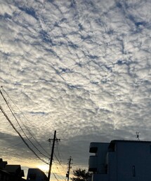 昨日の帰り道の空🌇☁ | 帰宅中息子が指差し教えてくれた✨(その他)