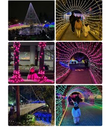 イルミネーション🎄 | 無料のイルミネーションだけど大規模でめっちゃ綺麗で癒されました🎄✨(ラッピングキット)