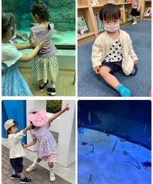 水族館🐬 | その他