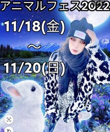 アニマルフェス2022告知🐆🦓 | ポスター/アート