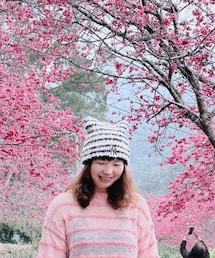 MLB | ニットキャップ/ビーニー