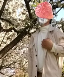 Lands' End | シャツ/ブラウス