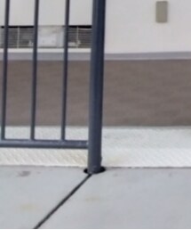 しまむら | スカート