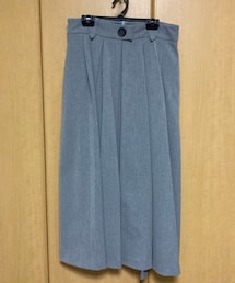 ZARA | ¥450 (エマール)(スカート)