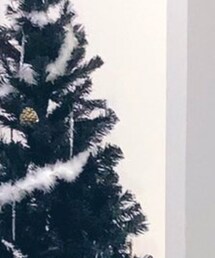 UNIQLO | ニット/セーター