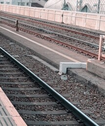 Levi's | ジャケット/アウター