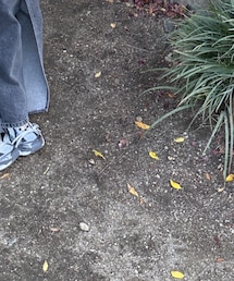 BALENCIAGA | スニーカー