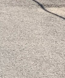 H　BEAUTY&YOUTH UNITED ARROWS | Tシャツ/カットソー