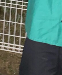 Dickies | その他パンツ