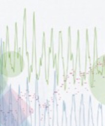 Original. | Tシャツ/カットソー