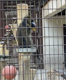 正しい姿勢 | その他