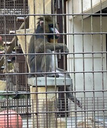 カメラに気付いてキメた | その他