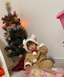 高熱トナカイ | その他