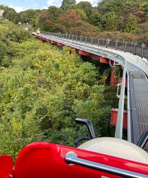 てんとう虫君の | その他