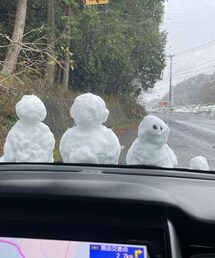ミニミニ雪だるま | その他