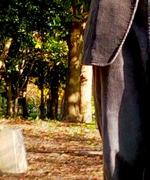 UNIQLO | スラックス