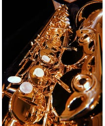 selmer | アルトサックス(音楽/本・雑誌)