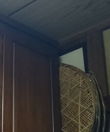 謎のザル | その他雑貨