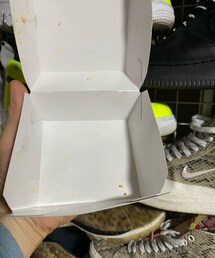 ビックマックなんてペロリだよ | その他