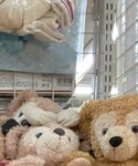 寿司詰めの「その他(その他)」