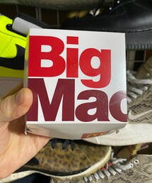 ビックマックなんてペロリだよ | その他
