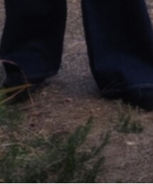 MIHARAYASUHIRO | スニーカー