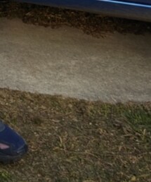 HELMUT LANG | デニムパンツ