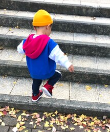 ✁₋₋₋₋₋₋ | その他