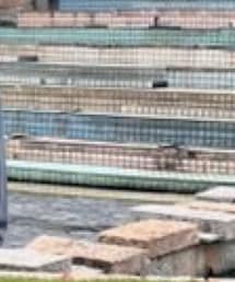 Supreme  | Tシャツ/カットソー