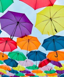 傘の花🌸 | 長傘