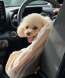 チャコはパパ大好き💗 | ペットウェア